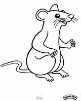 Rat Coloring Pages Outline Drawing Cartoon Rats Gerbil Lab Color Mouse Drawings Getdrawings Print Printable Coloringbay Getcolorings Paintingvalley sketch template