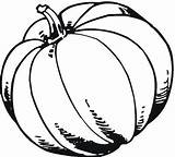 Coloring Pumpkins Pages Celebrate Thanksgiving sketch template