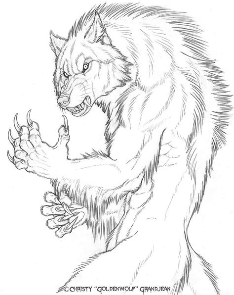 art  goldenwolf werewolf drawing werewolf art werewolf