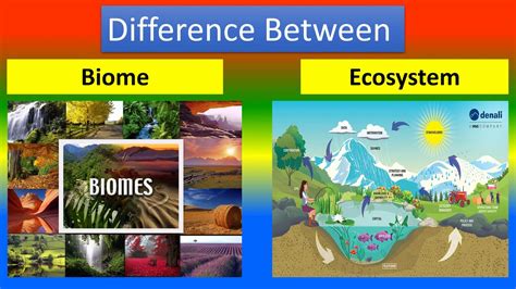difference  biomes  ecosystems open lsp