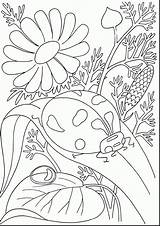 Tropical Coloring Pages Adults Printable Getcolorings sketch template