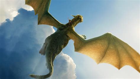 petes dragon hd movies  wallpapers images backgrounds