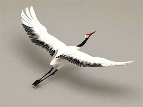 crane bird flying rigged   model max vray opendmodel