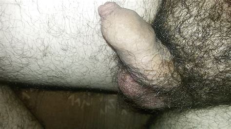 My Flaccid And Erected Cock Hairy Balls Tight Foreskin
