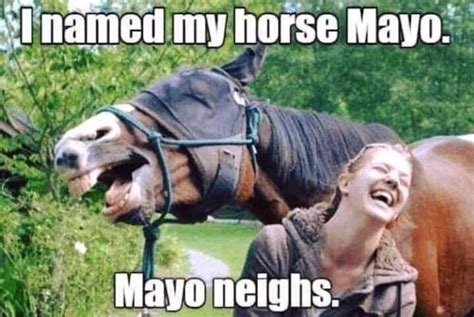 pin  hmca  funnies funny horse memes funny horses horse meme