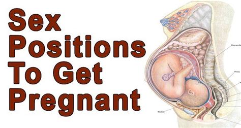 What Are The Best Foods And Positions For Getting Pregnant