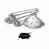 Cinnamon Vector Drawing Illustration Powder Hand Drawn Stick Seasonal Sketch Food Sticks Engraved Style Collection Mulled Chris Wine Royalty Similar sketch template