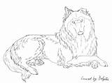 Collie Rough Drawing Lineart Stock Deviantart Coloring Sketch Template sketch template