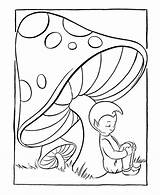 Mushroom Mewarnai Jamur Mushrooms Fairies Bonikids Populer Cemerlang Olphreunion sketch template