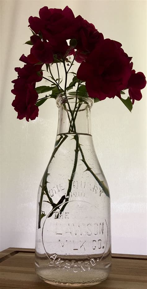 Roses 🌹 Glass Vase Vase Glass