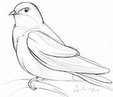 Swallow Barn Getdrawings Drawing sketch template