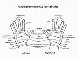 Reflexology Chart Thyroid sketch template