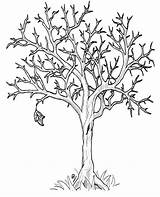Baum Ausmalen Malvorlage Crayola Getcolorings Anycoloring Coloringhome sketch template