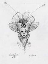 Spiderwick Fairy Orchid Sprite Diterlizzi Creature Faced sketch template