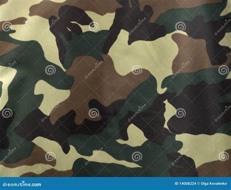 camouflage stock photo image  green clothing forest