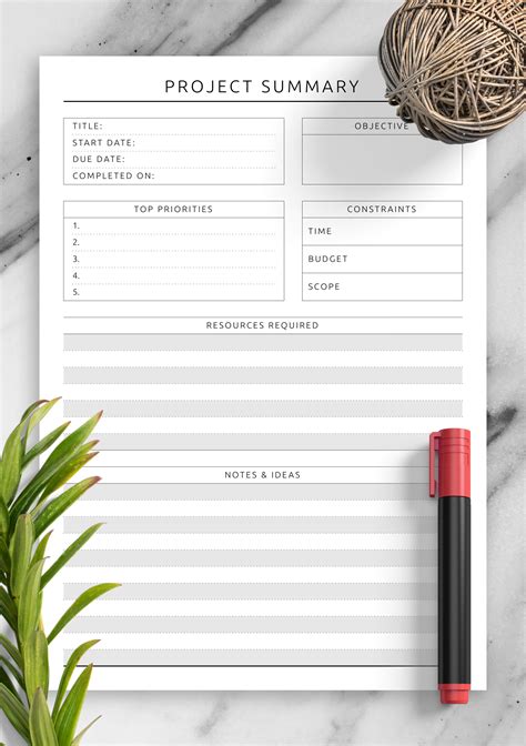 printable project summary template