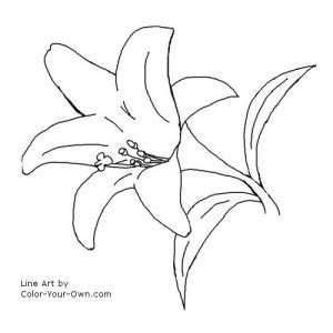 easter lily coloring page coloring pages blog
