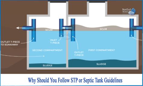 follow stp  septic tank guidelines