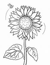 Bunga Matahari Sketsa Sunflowers Mewarnai Getdrawings Paud Pelajarindo Kolase Terbaru Disimak Catat Wajib Gambarcoloring sketch template