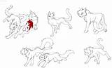 Clan Bluestar Mates Lineart Realistic Img01 Thunderclan sketch template