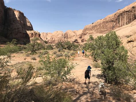 grandstaff canyon  family friendly hike  moab