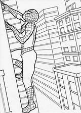 Coloring Spiderman Pages Printable Filminspector sketch template
