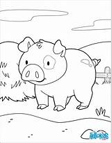 Pig Coloring Farm Pages Smiling Sweet Animals Online Print Animal Hellokids Color Prodigal Son Cute sketch template