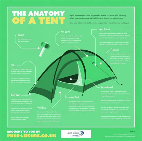 anatomy   tent pure leisure infographics