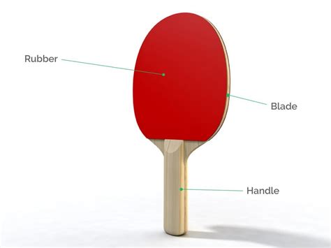 ping pong paddle  tennis top  bestazy reviews