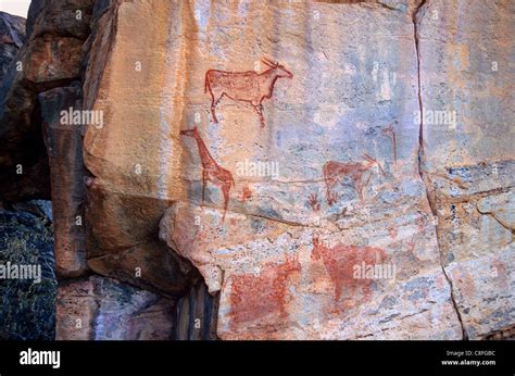 Rock Art Tsodilo Hills Unesco World Heritage Site Ngamiland