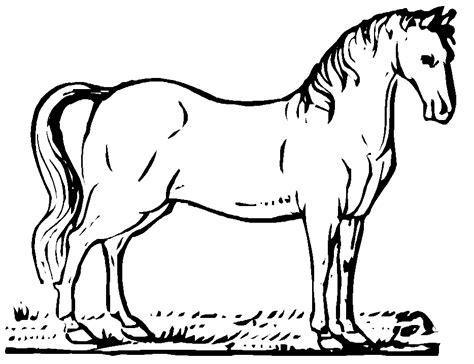 horse horse coloring pages cool coloring pages printable coloring