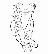Frog Coloring Pages Tree Frogs Cute Print Printable Drawings Coqui Drawing Kids Outline Animals Sheets Animal Worksheets Pencil Color Books sketch template