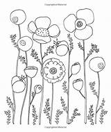 Color Flower Botanicals Just Add Customize Illustrations Amazon Original Colouring Embroidery sketch template