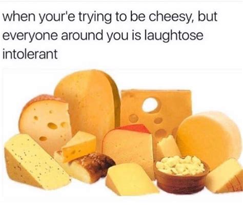 The Best Cheesy Memes Memedroid