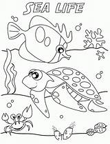 Coloring Pages Sea Life Kids Comments sketch template