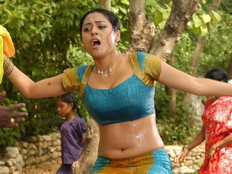 Indian Movie Actress Meenakshi In Wet Blouse
