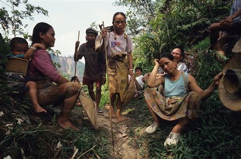 indigenous dayak tropical rainforest malaysia sarawak borneo nigel