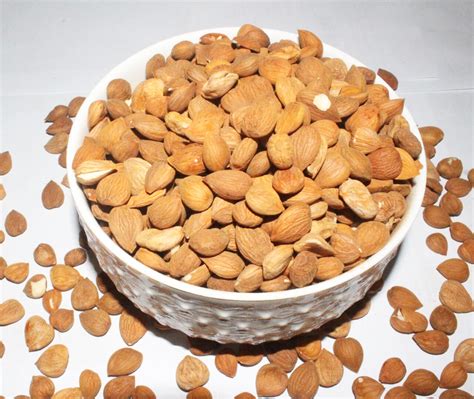 gilgit baltistan dried apricot seeds giri  special taste
