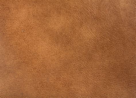 brown leather pictures   images  unsplash