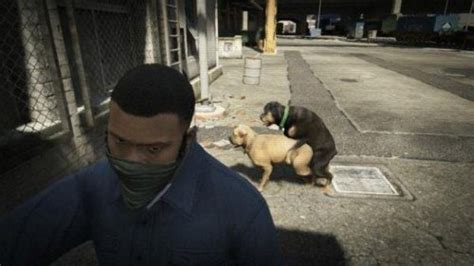 30 Grand Theft Auto 5 Funny Selfies Funny Gallery Ebaum S World