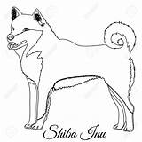 Shiba Inu Dog Illustration Coloring Vector Outline Cartoon Cute Getdrawings Drawing Dogs Variations Set sketch template