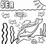 Sea Coloring Pages Life Colorings sketch template