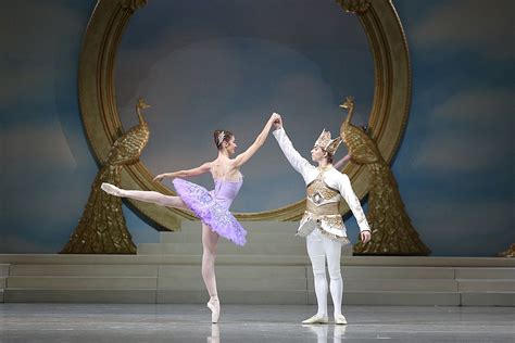 Pyotr Tchaikovsky The Sleeping Beauty Ballet In Three Acts With A