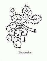 Blueberry Blueberries Colorare Bacca Frutto Berry Mandala sketch template