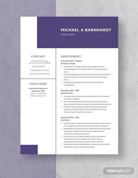 executive resume template word apple pages templatenet