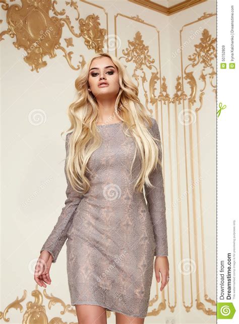 beauty business woman in fashion dress perfect slim body stock image image of fashionable
