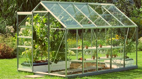 growing plants   greenhouse   grow light fixtures