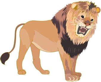 lion clip art