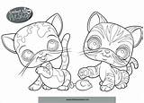 Pet Shop Pages Coloring Getcolorings Littlest sketch template