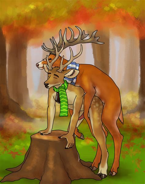 Rule 34 2014 All Fours Anal Anal Sex Anthro Anthro On Feral Antlers